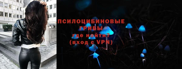 стаф Киреевск