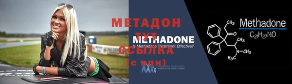 индика Карпинск