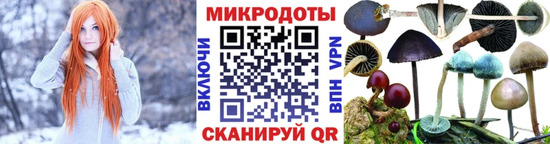 Псилоцибиновые грибы GOLDEN TEACHER  наркошоп  Называевск 